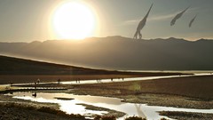 Mass effect 2 mass effect