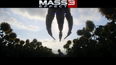 Mass effect