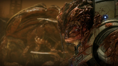 Mass effect grunt