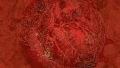 Mast mtinsideinlayd here high