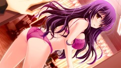 Master blush long hair bra purple hair game cg underwear panties