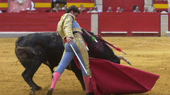 Matador bull fight