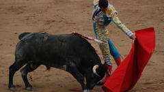 Matador bull fight