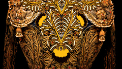 Matador toro torerro