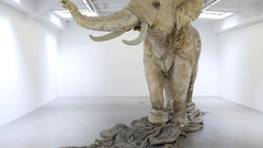 Max Huang Marc ping blanche yong ombre domage