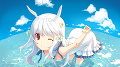 Max portable Suee Anime