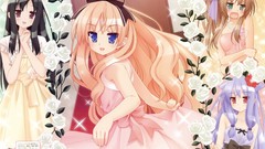 Mayoi neko overrun serizawa