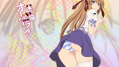 Mayoi neko overrun serizawa fumino