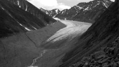 Mccall hires right high