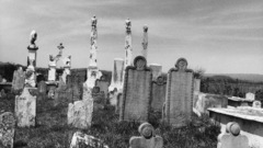 Mcgavock family cemetery vlr