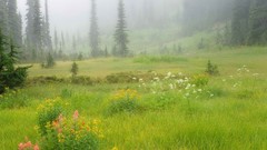Meadows Canada British Columbia national park
