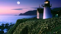 Meadows lighthouses Sea