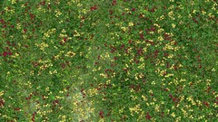 Meadows Textures Green grass