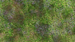 Meadows Textures Green grass