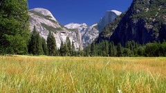 Meadows Yosemite 2004 high Resolution