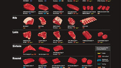 Meat infographics beef