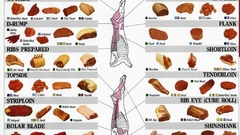 Meat infographics beef