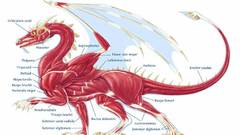 Medicine illustrations Science