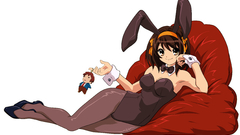 Melancholy animal ears The suzumiya haruhi