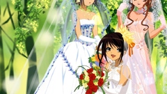 Melancholy haruhi suzumiya beautiful