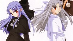 Melty blood type-moon