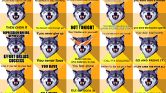 Meme Courage Wolf