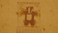 Meme Vitruvian Man badgers