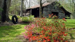 Memories complex magazine