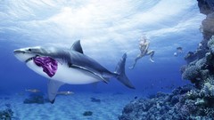 Men abstract underwater Sharks funny sunlight underwear digital 