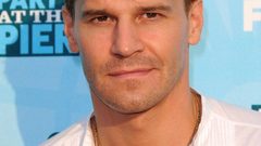 Men Actors david boreanaz