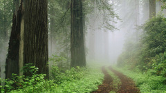 Men can romantic walls some get preferably guyxguy