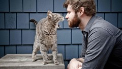 Men cats beard fun