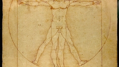 Men circles classic Vitruvian