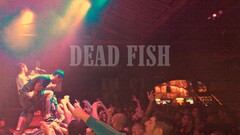 Men crowds Music People