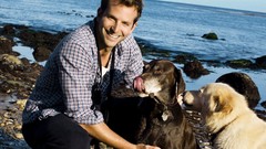 Men Dogs Actors Bradley Cooper Beaches smiling