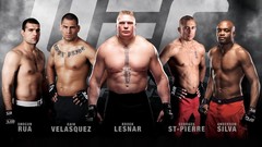 Men fighters ufc brock lesnar
