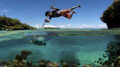 Men fish fishing underwater Animals outdoors