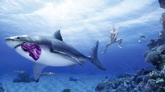 Men funny Sharks swimsuits