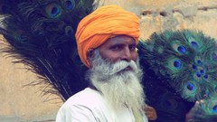 Men India peacock beard turbans