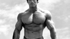 Men muscles arnold schwarzenegger muscular