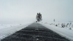 Men road People winter landscape