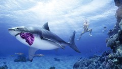 Men underwater Sharks funny swimming swimsuits