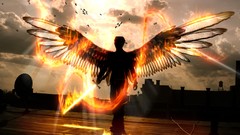 Men wings Photo manipulation