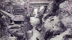 Menintrenchsup menintrench high