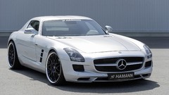 Mercedes-Benz hamann Mercedes-Benz SLS AMG E-Cell