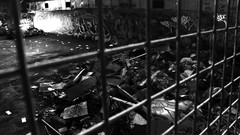 Mess monochrome fences