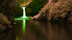 Messing Food and Drinks