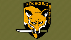 Metal gear Fox Hound