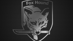 Metal gear Fox Hound
