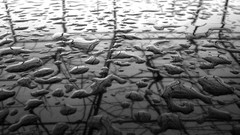 Metal grayscale raindrops